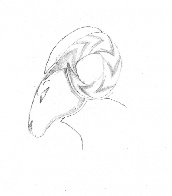 Creation of aries: Step 2